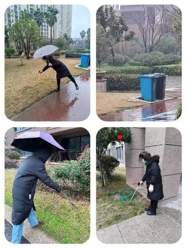 微信图片_2025-01-03_172232_847.png
